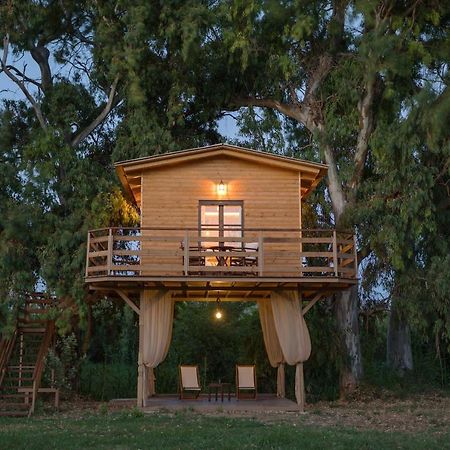 River Treehouse 拉加纳斯 外观 照片