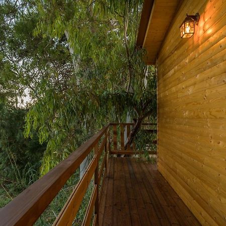 River Treehouse 拉加纳斯 外观 照片
