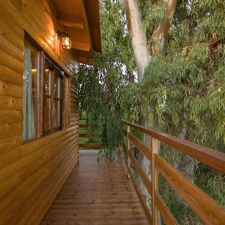 River Treehouse 拉加纳斯 外观 照片