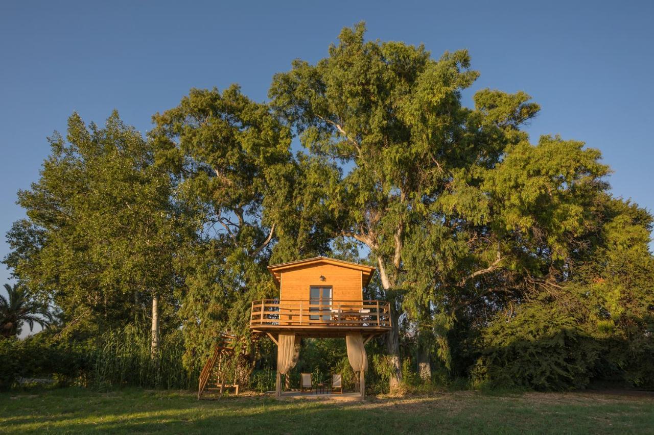 River Treehouse 拉加纳斯 外观 照片