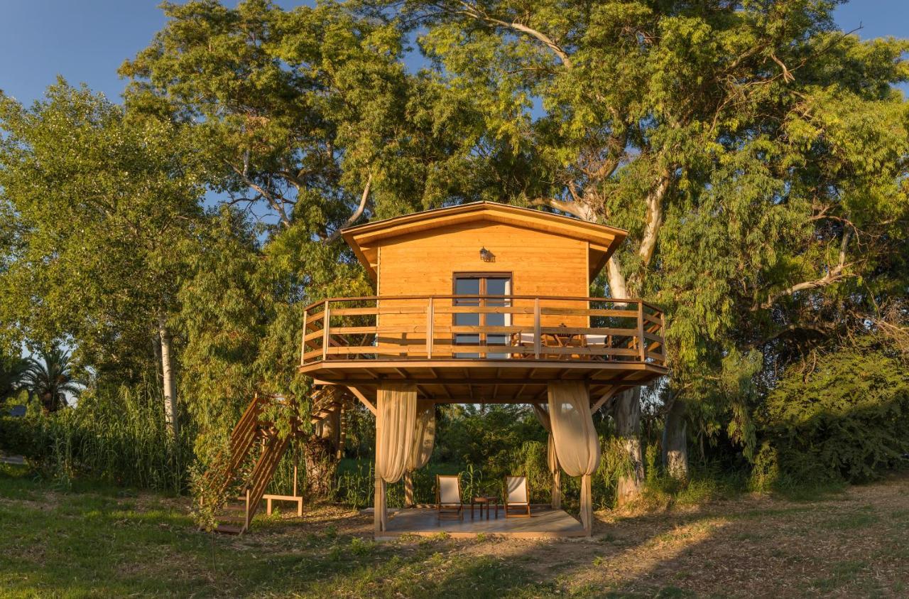 River Treehouse 拉加纳斯 外观 照片